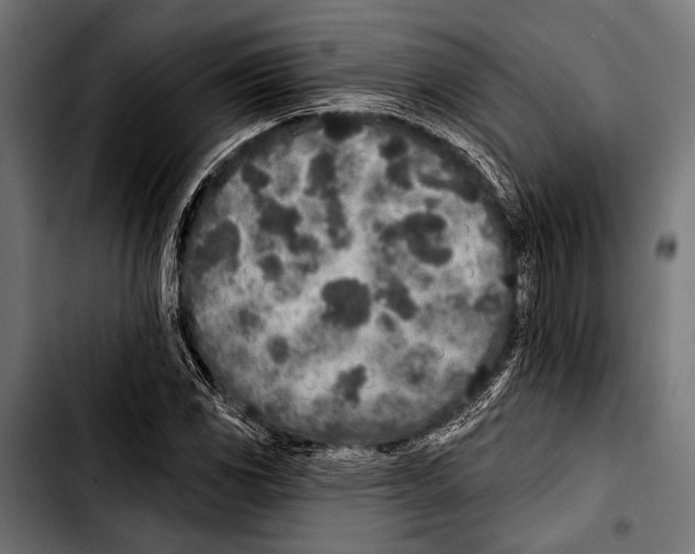 X0000103321117200810171355
