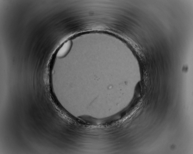 X0000103321118200810171355