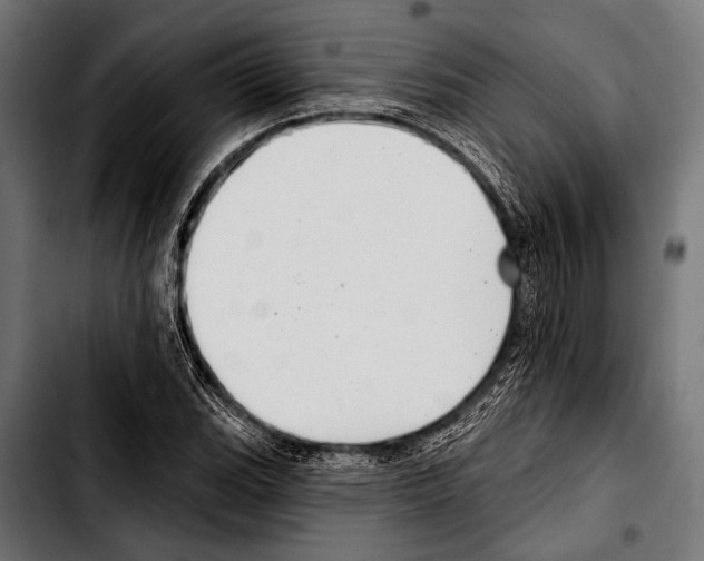 X0000103321119200810171355