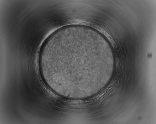 X0000103321120200810171355