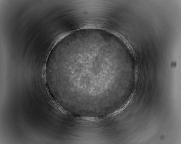 X0000103321121200810171355