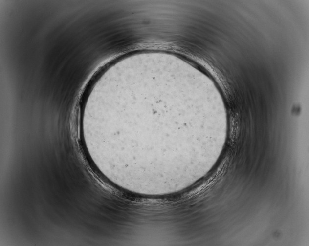 X0000103321123200810171355