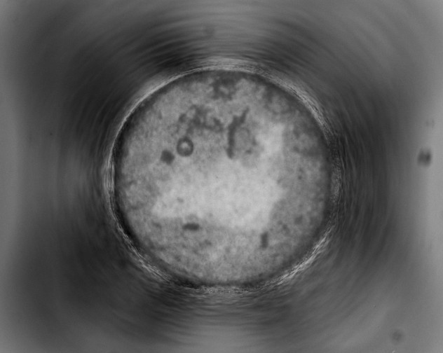 X0000103321125200810171355