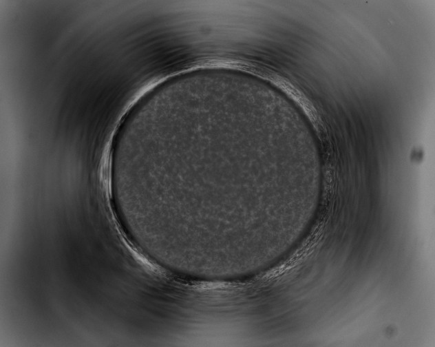 X0000103321127200810171355