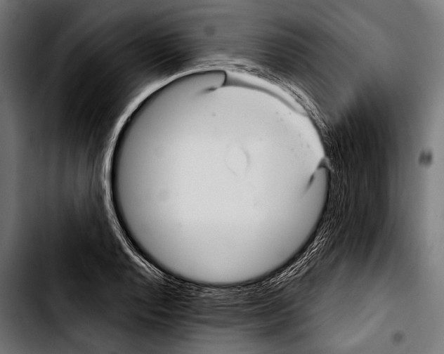 X0000103321128200810171355