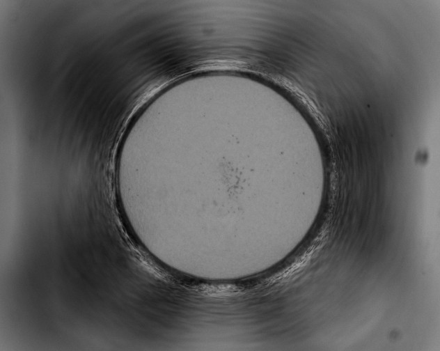 X0000103321129200810171355