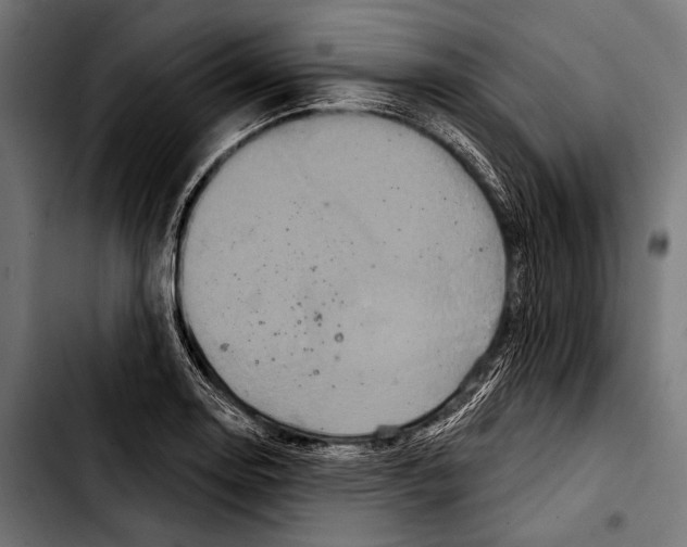 X0000103321130200810171355