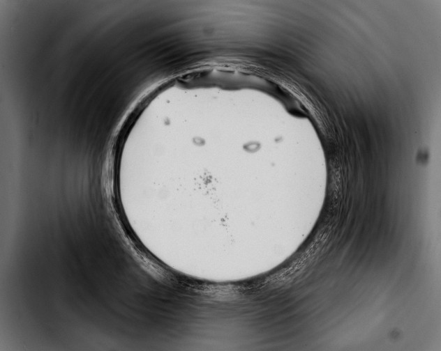 X0000103321131200810171355