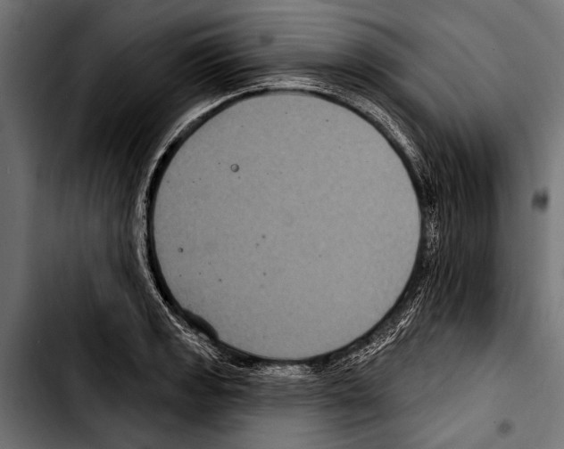 X0000103321133200810171355