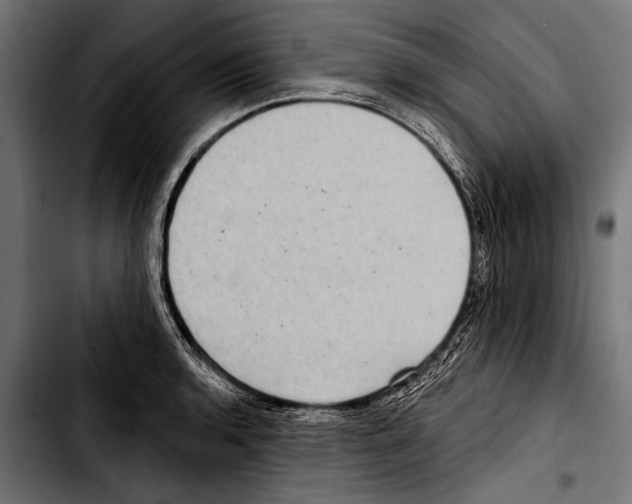 X0000103321136200810171355