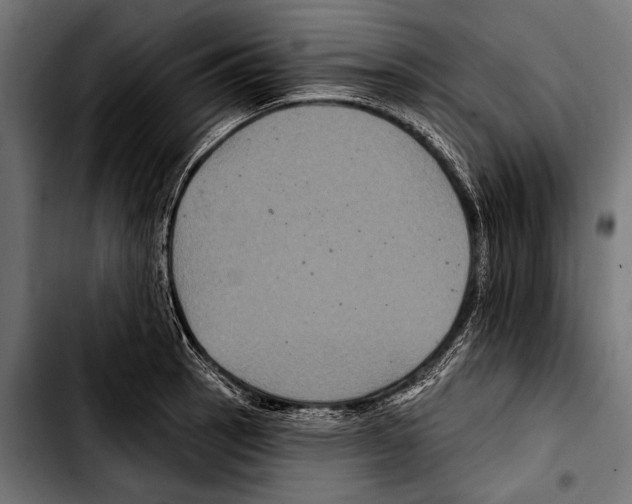 X0000103321137200810171355