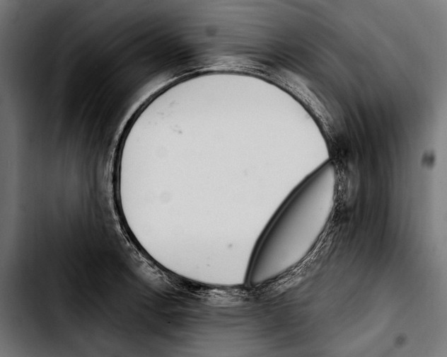 X0000103321138200810171355