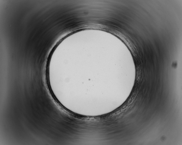 X0000103321139200810171355