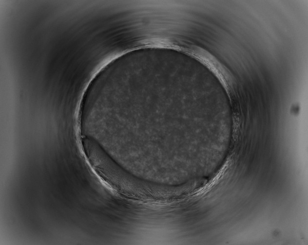 X0000103321141200810171355