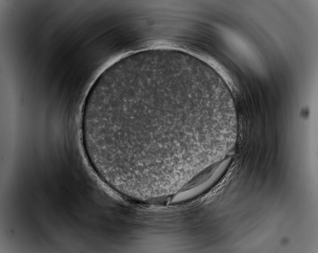 X0000103321142200810171355