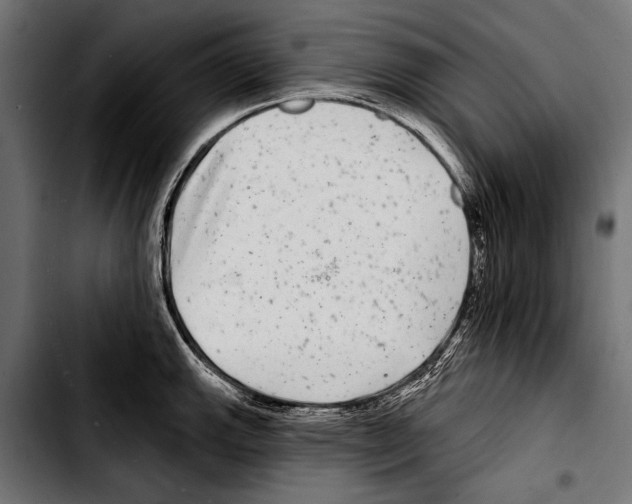 X0000103321143200810171355