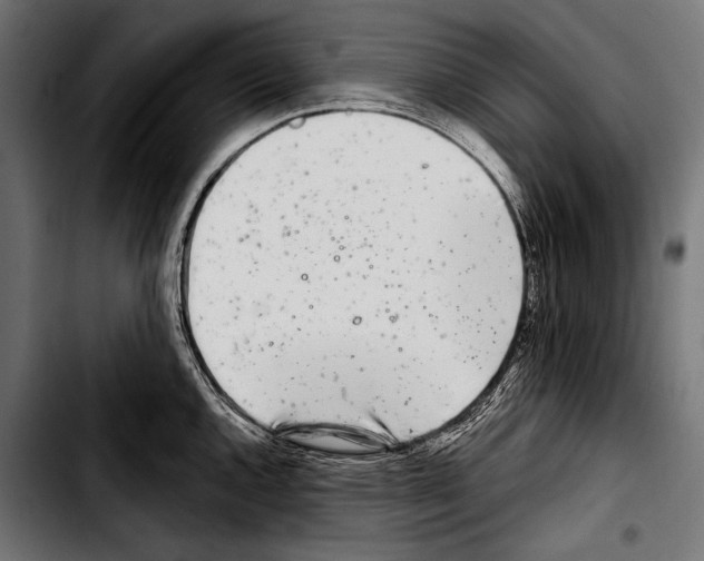 X0000103321144200810171355