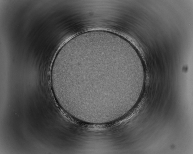 X0000103321145200810171355