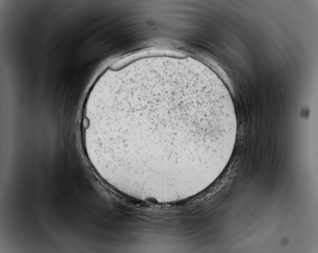 X0000103321146200810171355