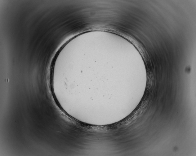 X0000103321147200810171355
