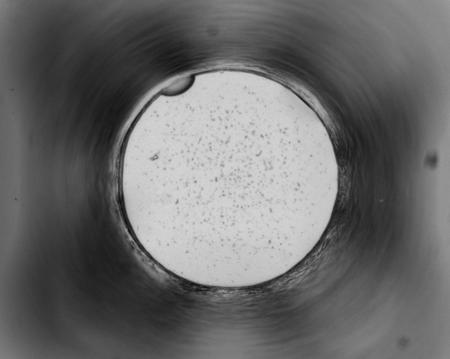 X0000103321148200810171355