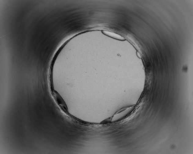 X0000103321149200810171355