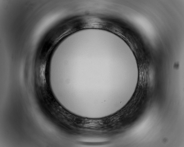 X0000103321150200810171355