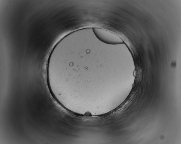 X0000103321151200810171355