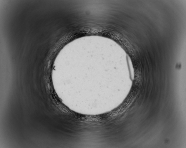 X0000103321153200810171355