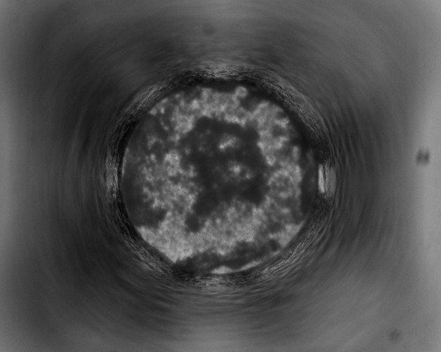 X0000103321155200810171355