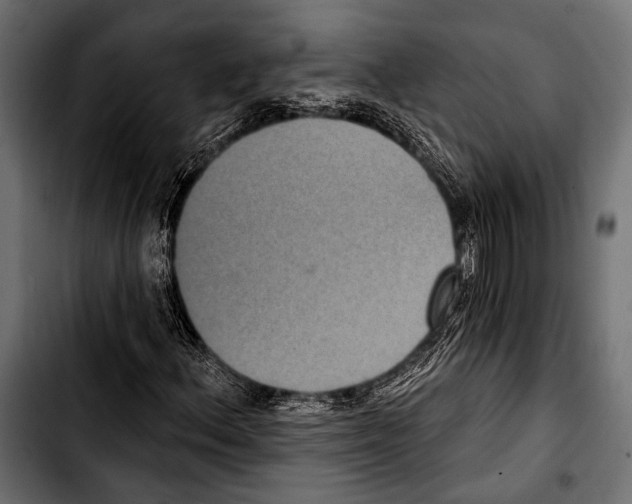 X0000103321156200810171355