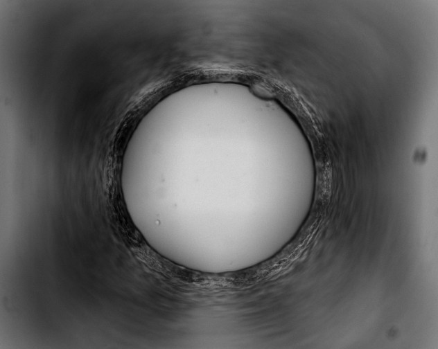 X0000103321157200810171355