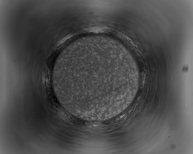 X0000103321158200810171355