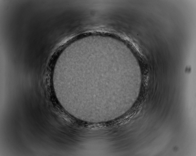 X0000103321159200810171355