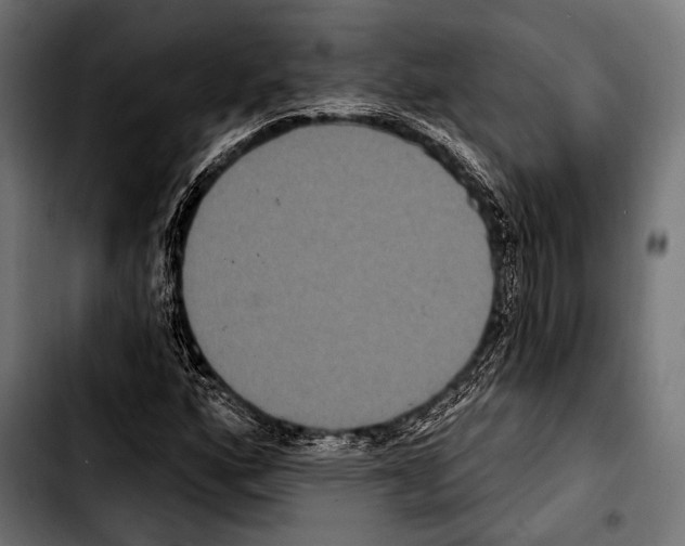 X0000103321160200810171355