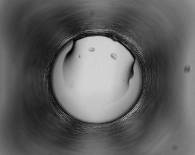 X0000103321161200810171355
