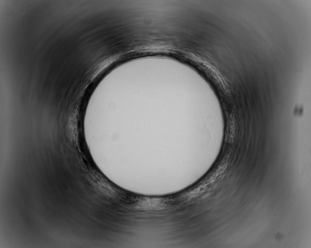 X0000103321162200810171355