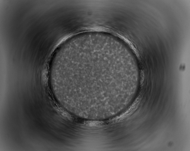 X0000103321163200810171355