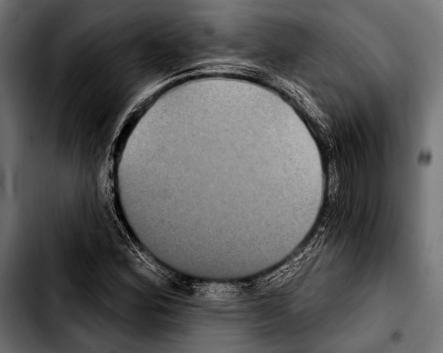 X0000103321164200810171355