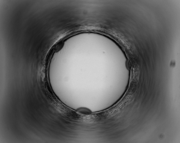 X0000103321165200810171355