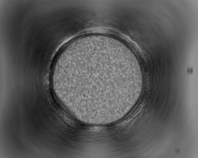 X0000103321166200810171355