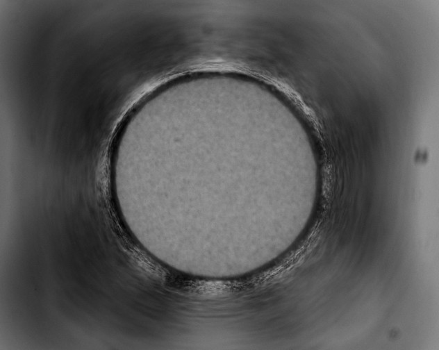 X0000103321167200810171355
