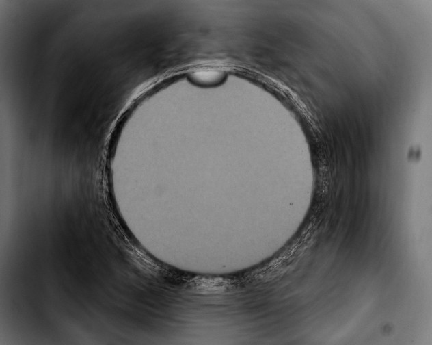 X0000103321168200810171355