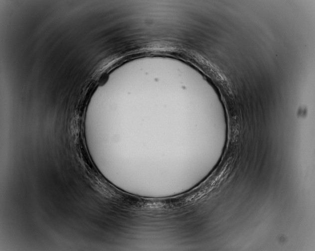 X0000103321169200810171355