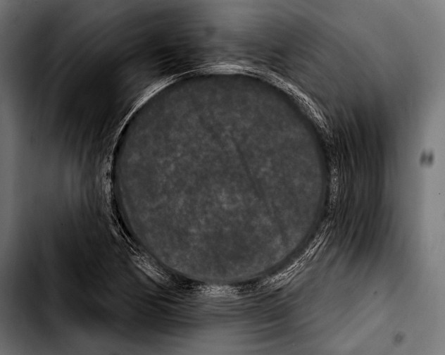 X0000103321170200810171355