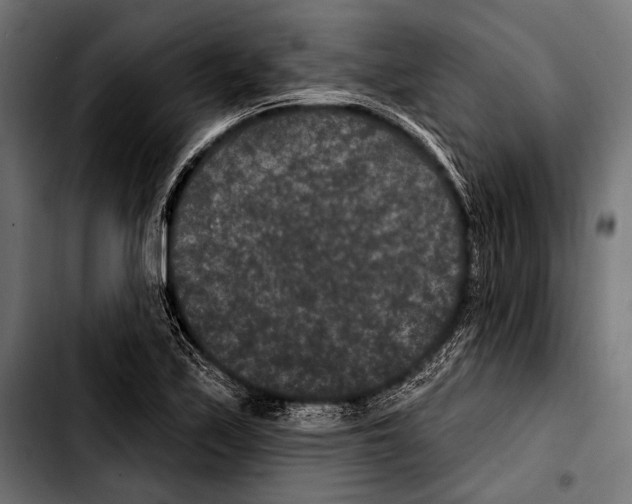X0000103321171200810171355