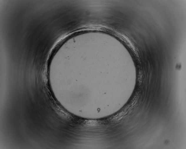 X0000103321172200810171354