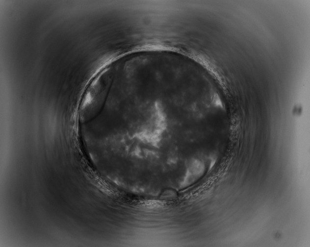 X0000103321173200810171354