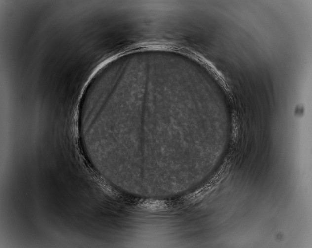 X0000103321174200810171354