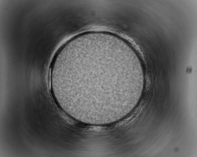 X0000103321175200810171354